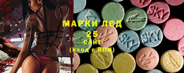 прущий лед Михайлов