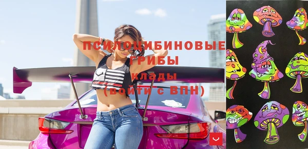 прущий лед Михайлов