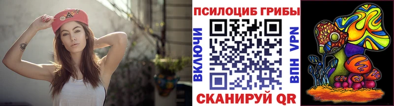 ссылка на мегу вход  наркота  Дыгулыбгей  Псилоцибиновые грибы GOLDEN TEACHER 